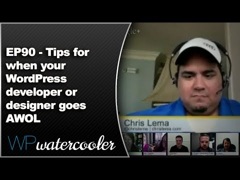 EP90 - Tips for when your WordPress developer or designer goes AWOL - June 2 2014