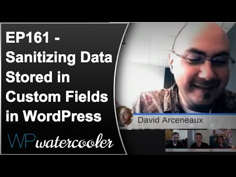EP161 - Sanitizing data stored in custom fields in WordPress
