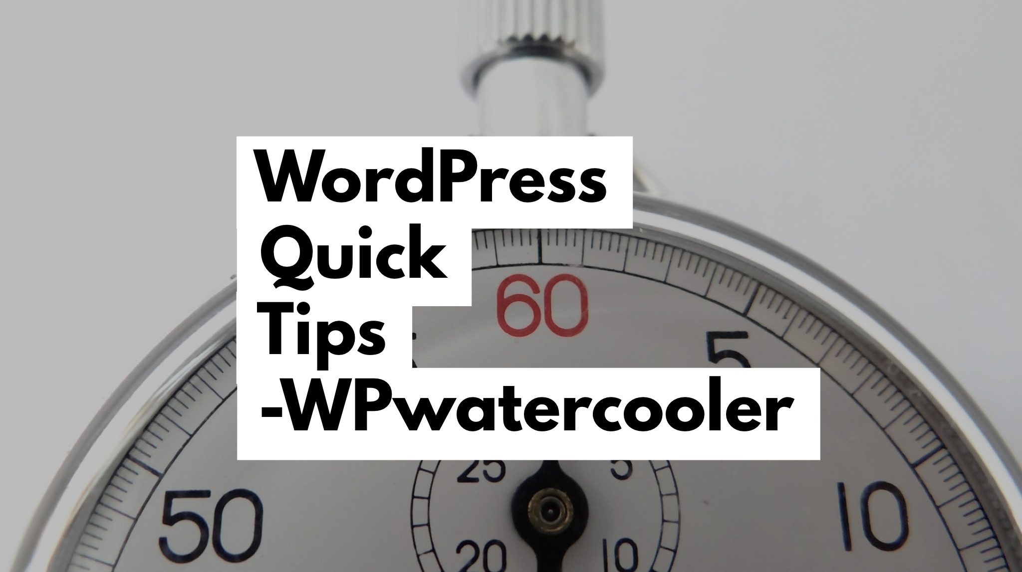 EP260 - WordPress Quick Tips