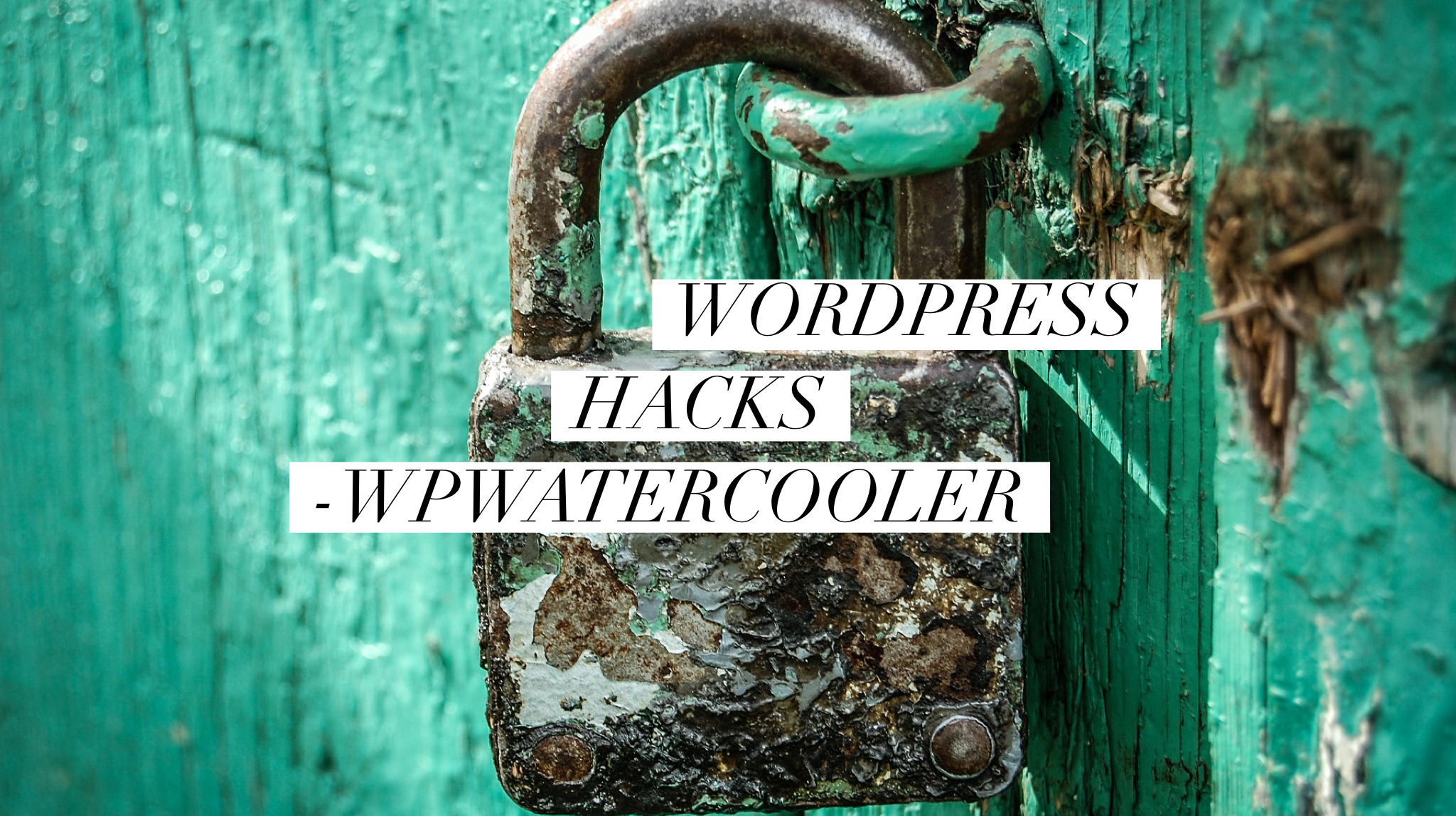 EP286 – WordPress Hacks
