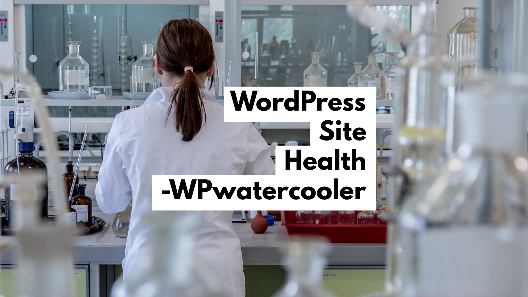 EP323 – WordPress Site Health