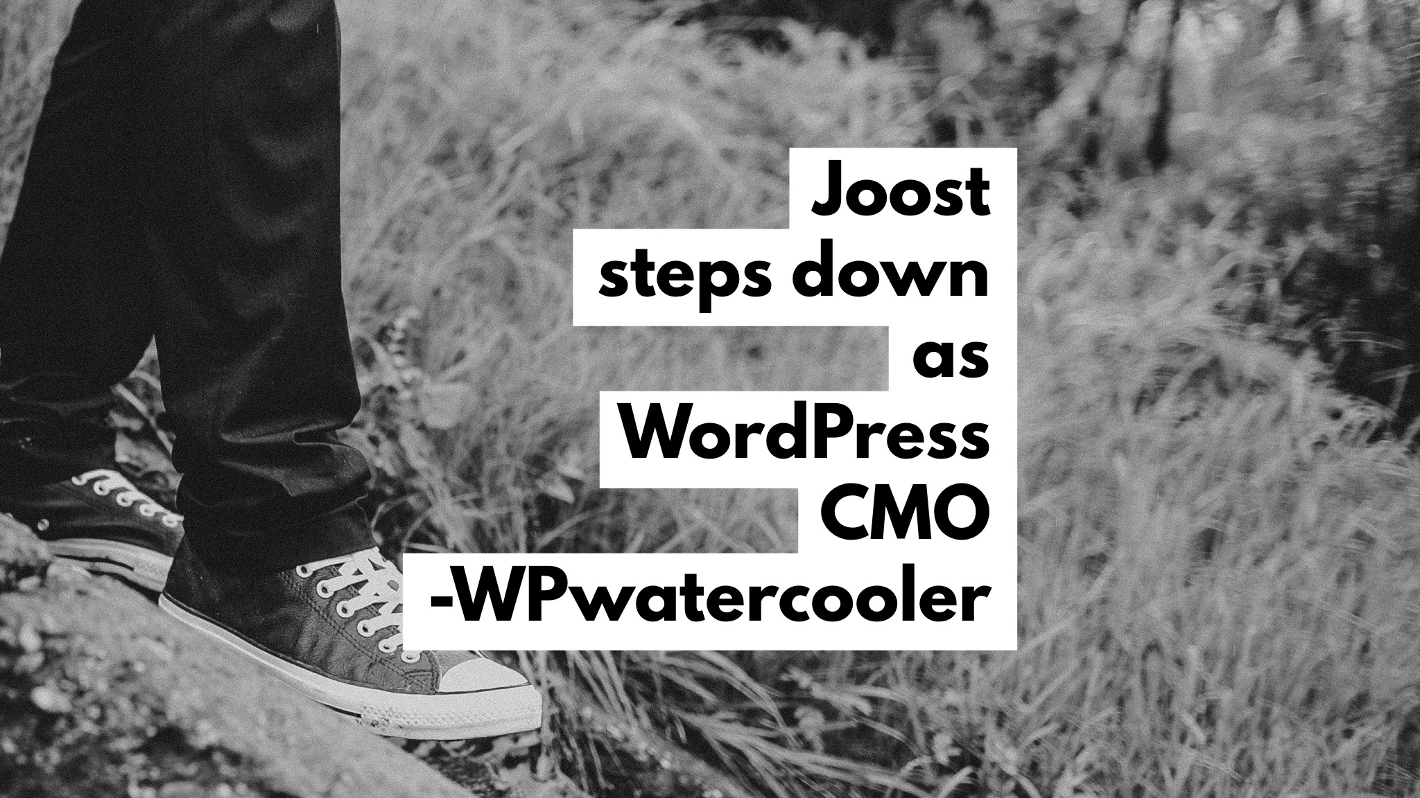 EP325 – Joost steps down as WordPress CMO