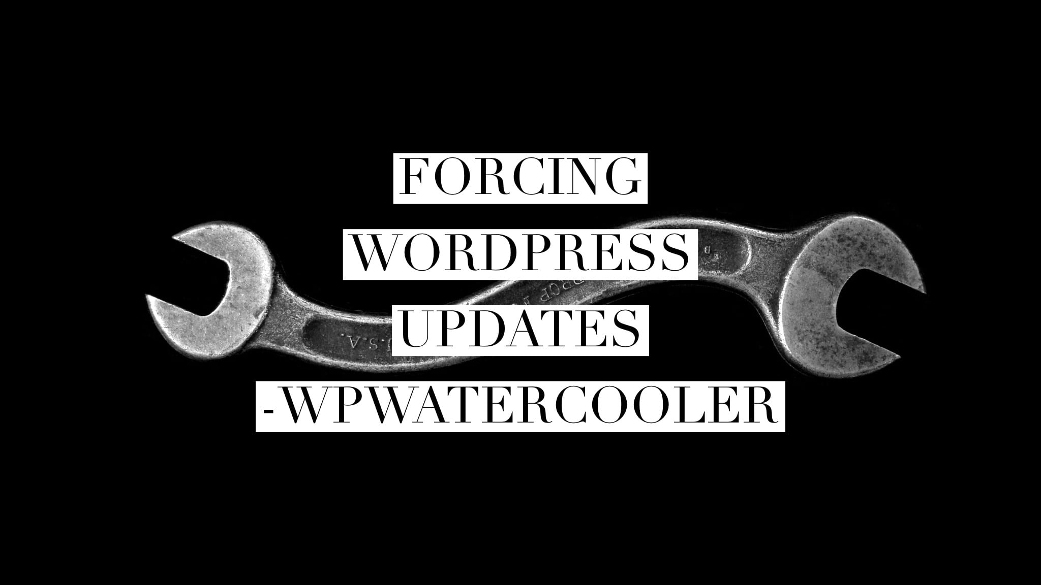 EP334 – Forcing WordPress Updates
