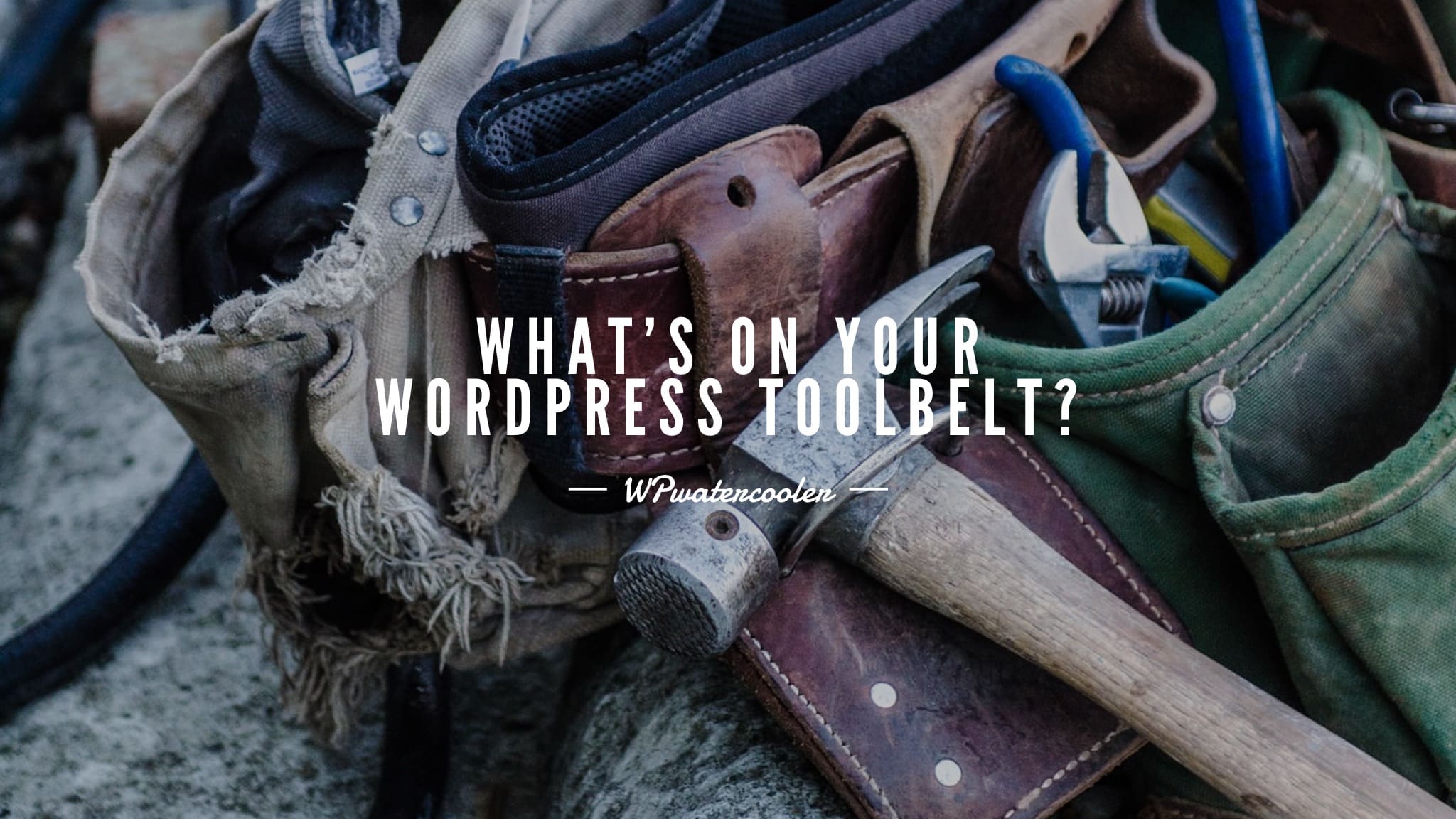 EP336 - What's on your WordPress toolbelt?