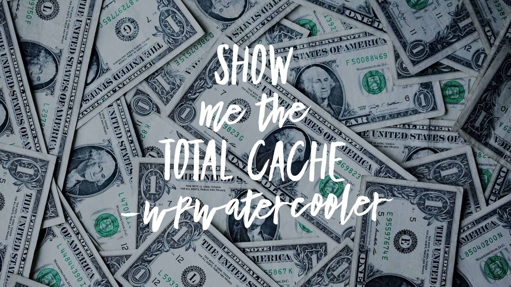 EP343 – Show Me The Total Cache