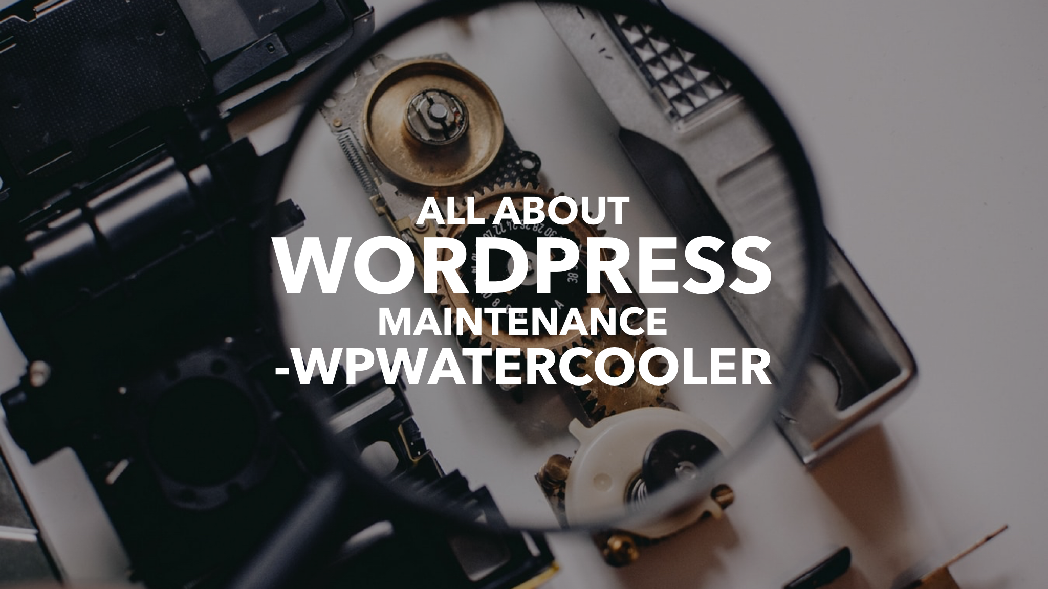 EP350 – All About WordPress Maintenance