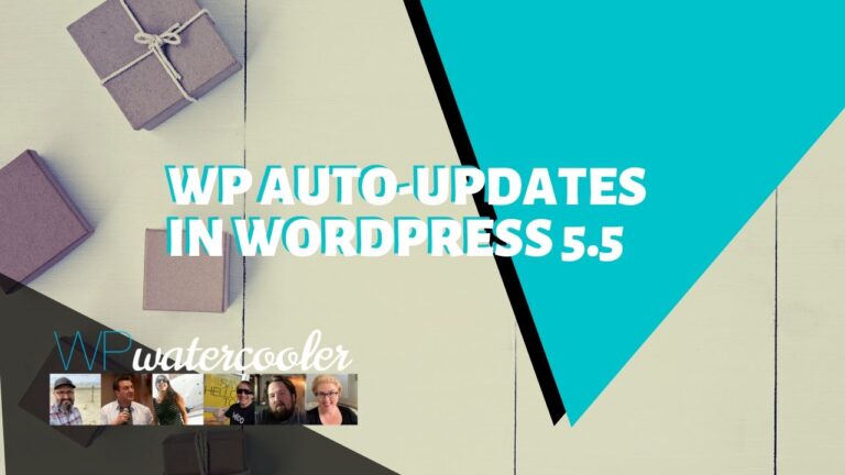 WP Auto updates in WordPress 5 5 yt