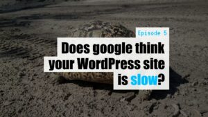EP05 Does google think your WordPress site is slow Dev Branch
