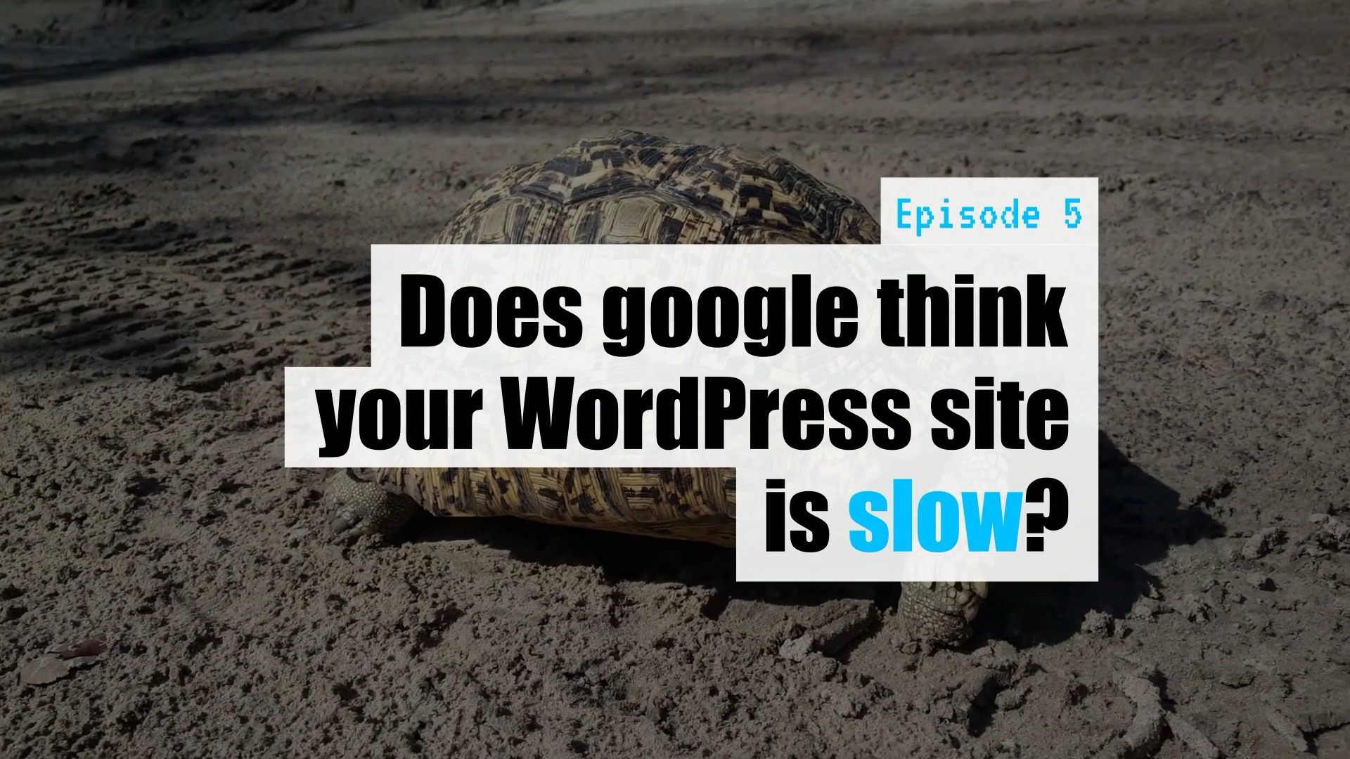 EP05 – Does google think your WordPress site is slow?