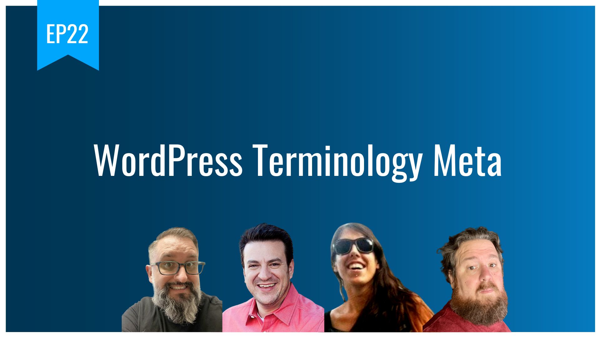 EP22 - WordPress Terminology Meta