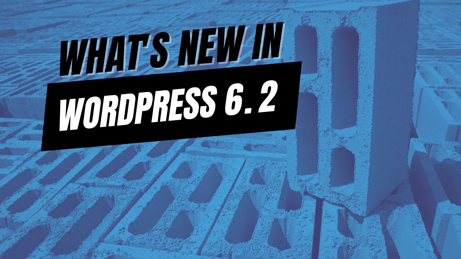 EP447 – What’s New in WordPress 6.2?